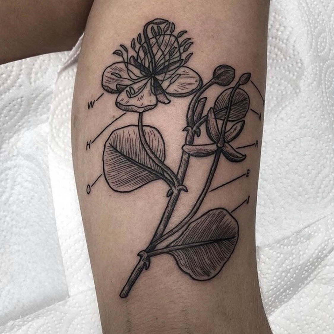Tattoo token