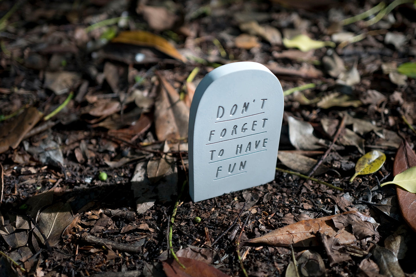 Don't forget to have fun