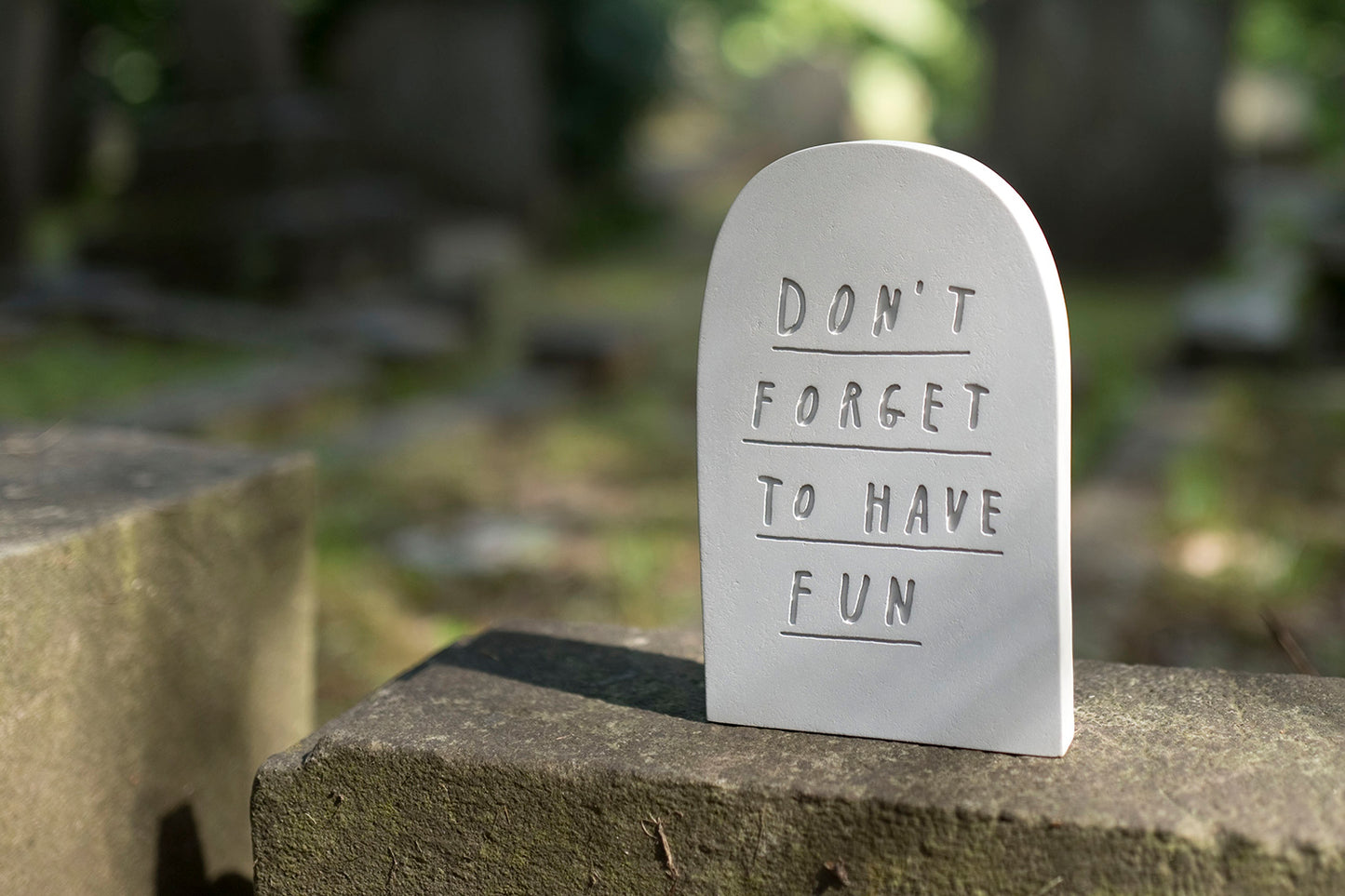 Don't forget to have fun