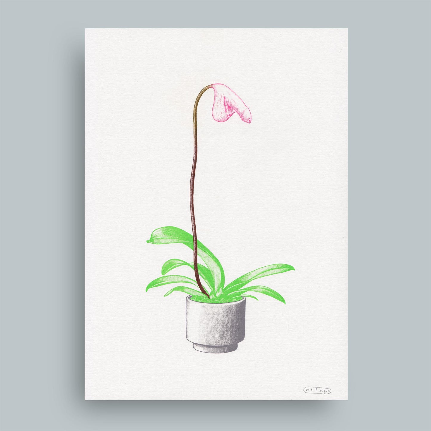 Hand finished Cock Plant