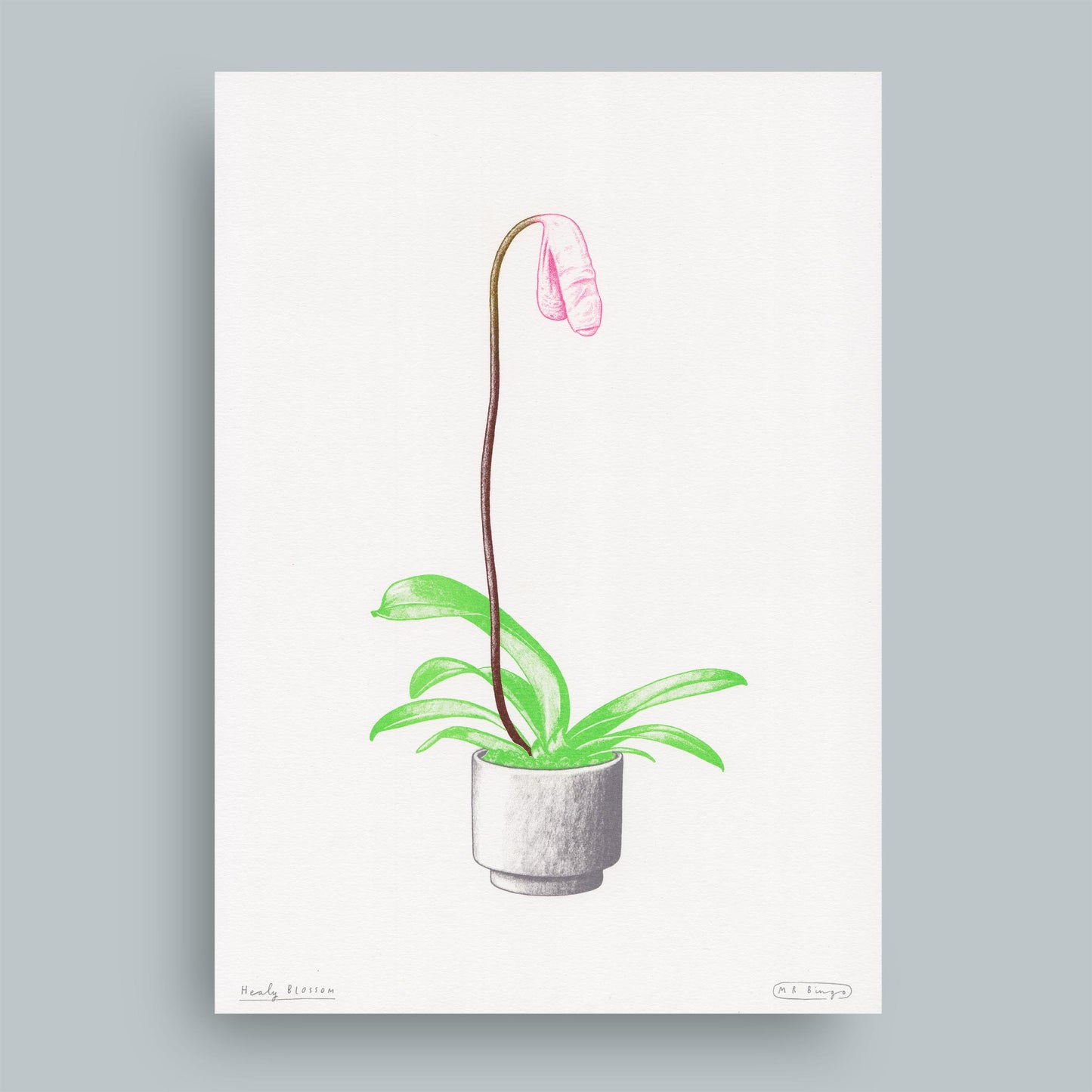 Hand finished Cock Plant