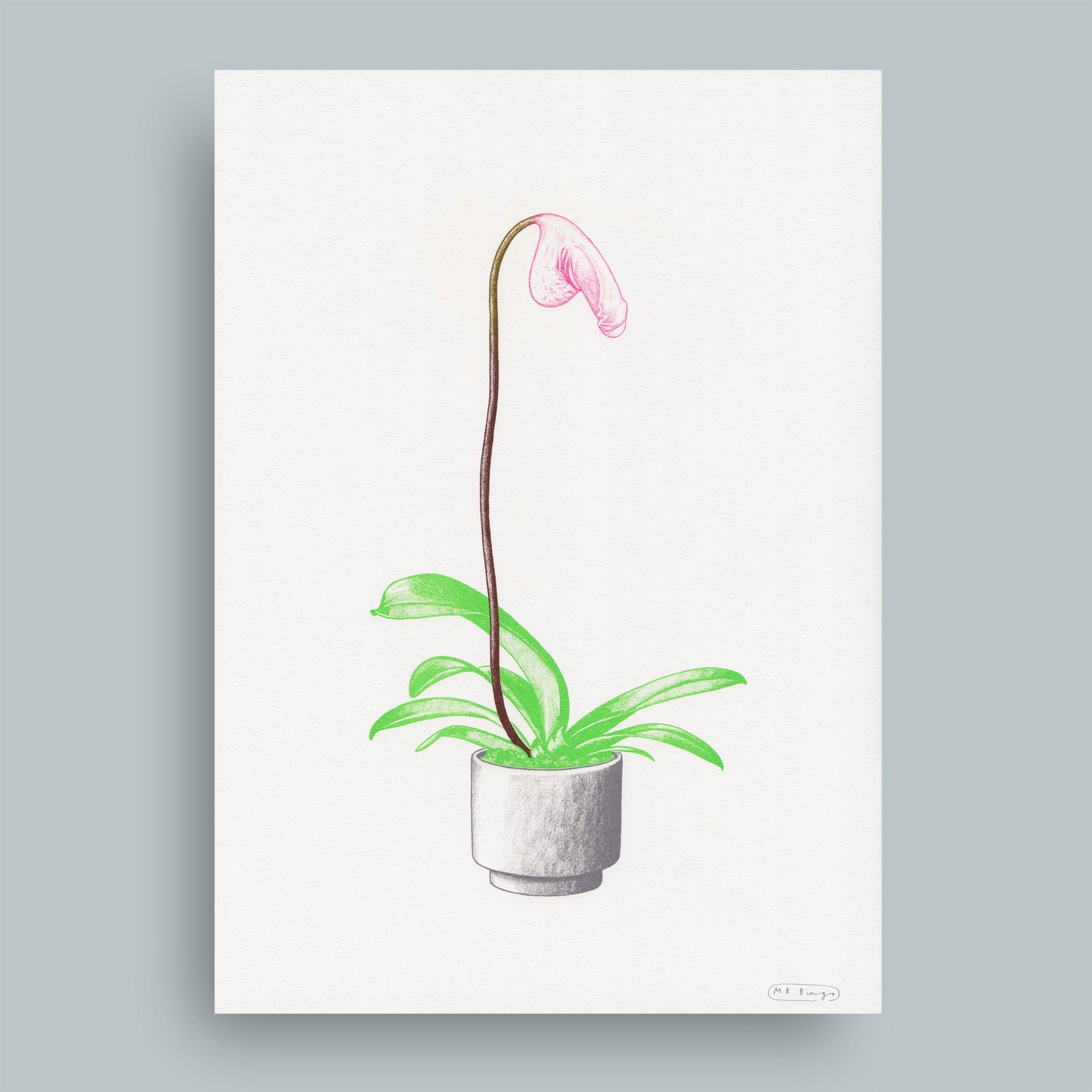 Hand finished Cock Plant