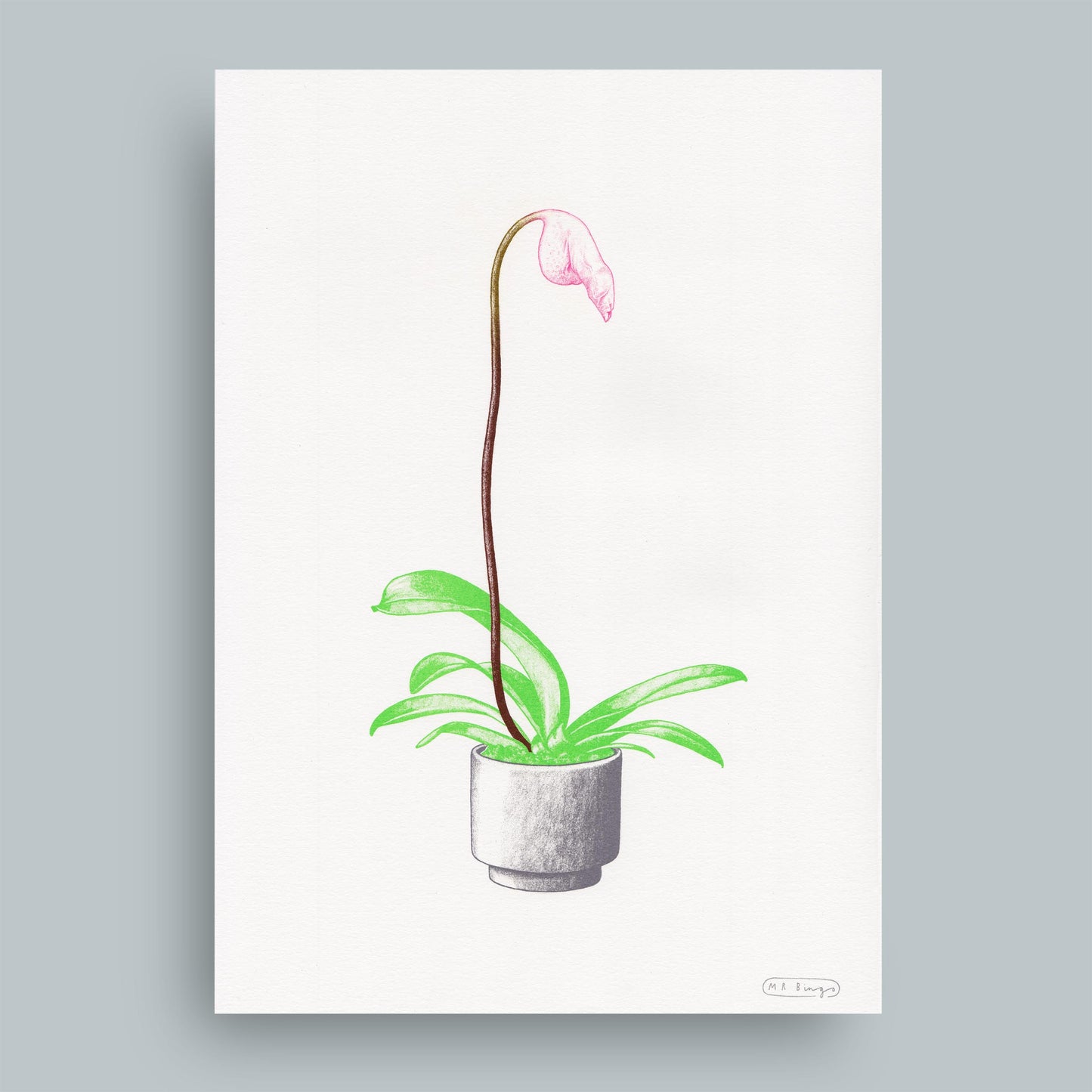 Hand finished Cock Plant