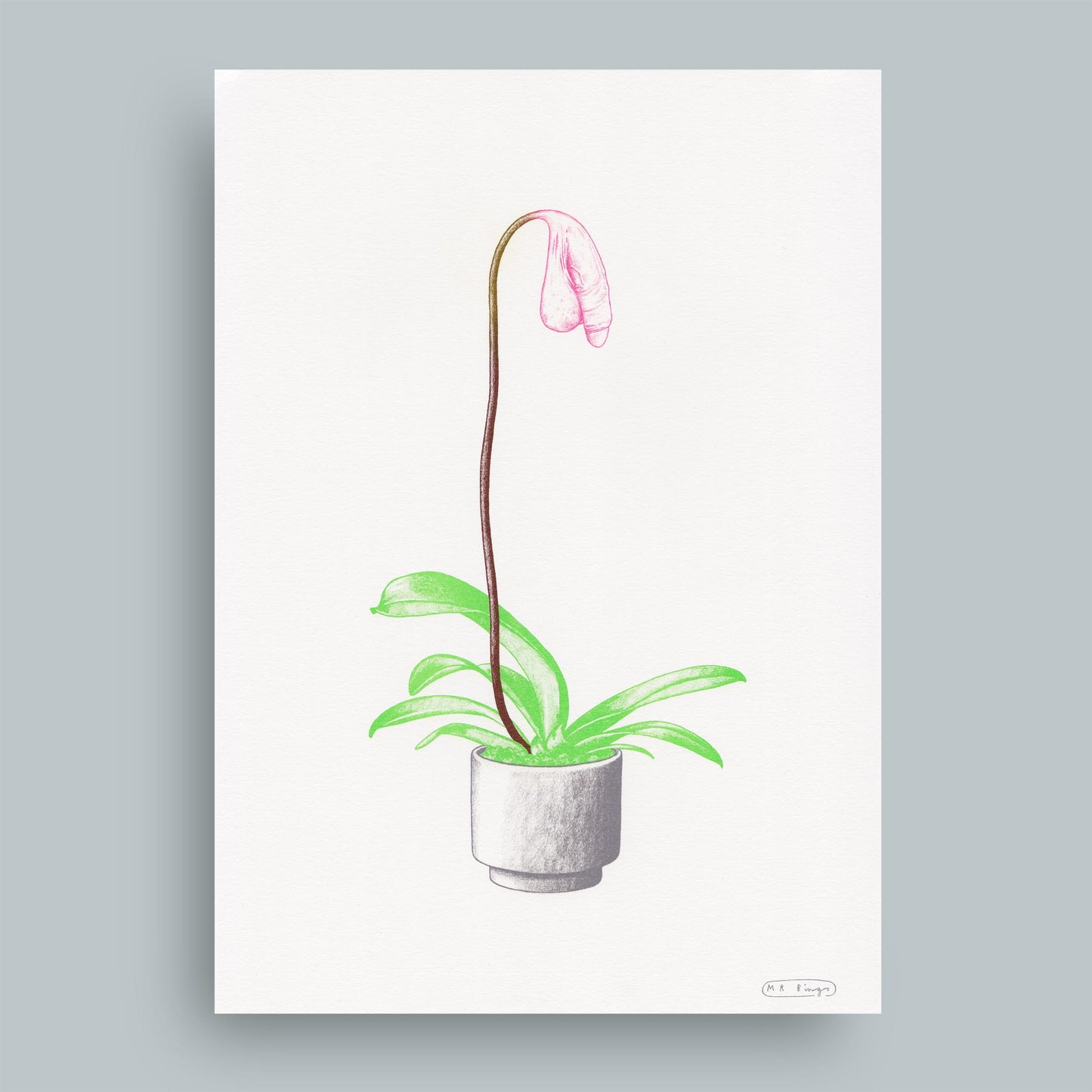 Hand finished Cock Plant