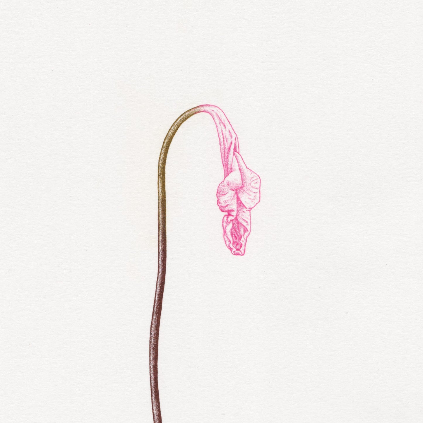 Hand finished Vulva Plant