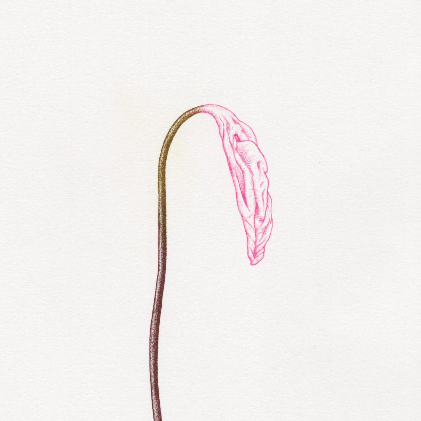 Hand finished Vulva Plant