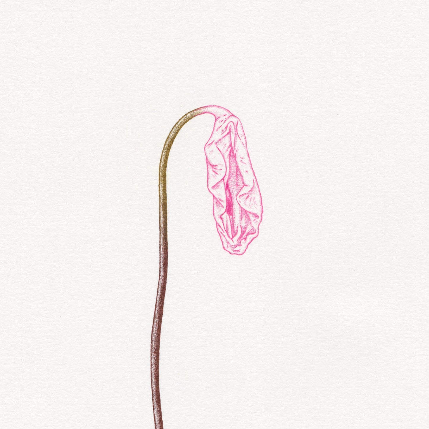Hand finished Vulva Plant