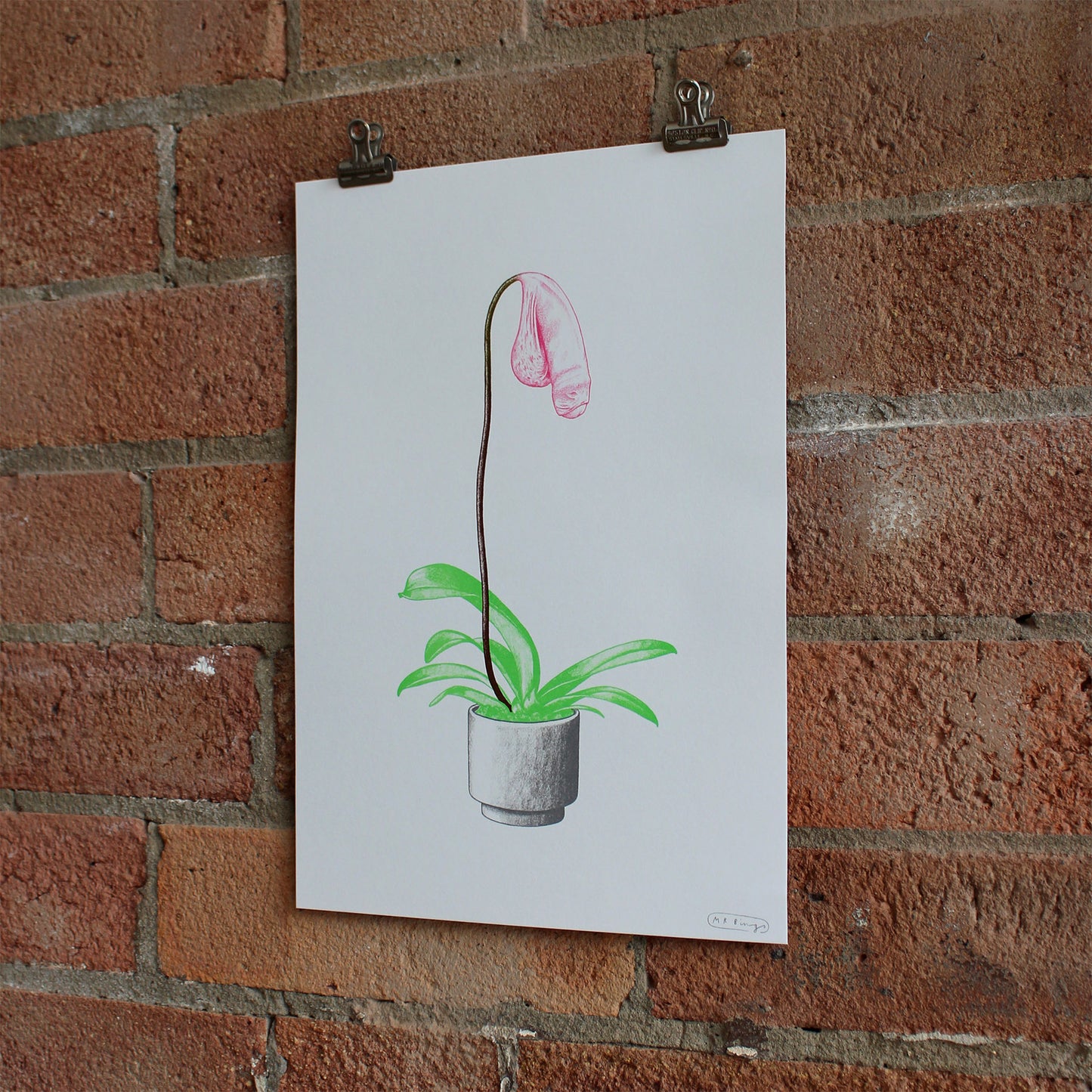 Hand finished Cock Plant