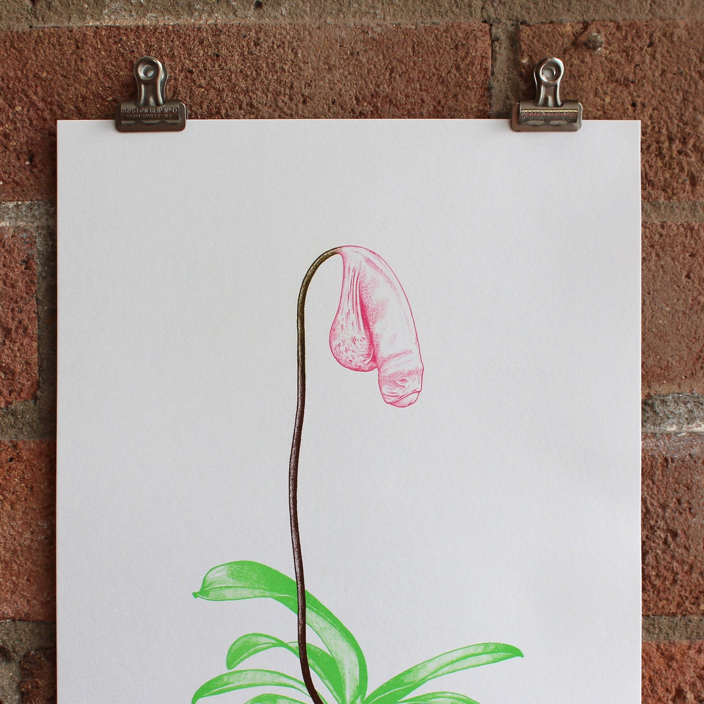 Hand finished Cock Plant