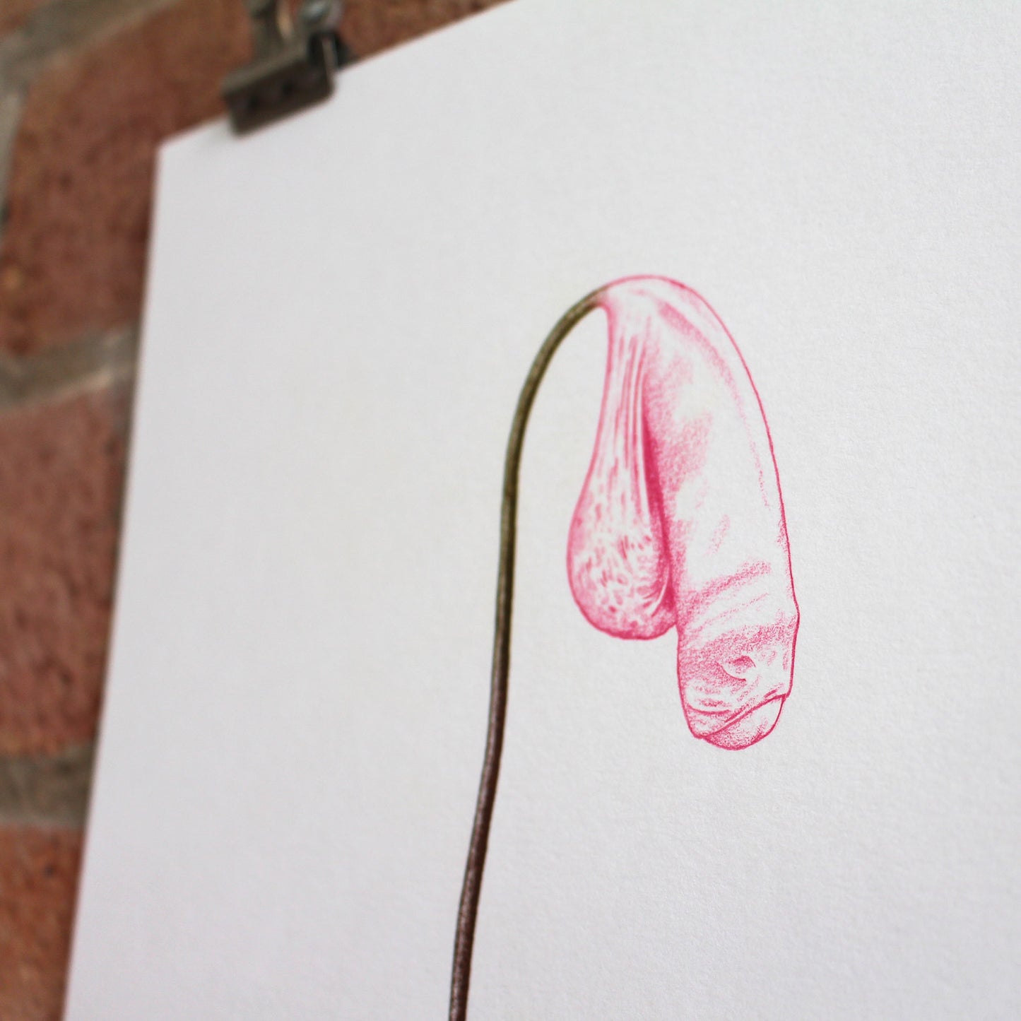 Hand finished Cock Plant