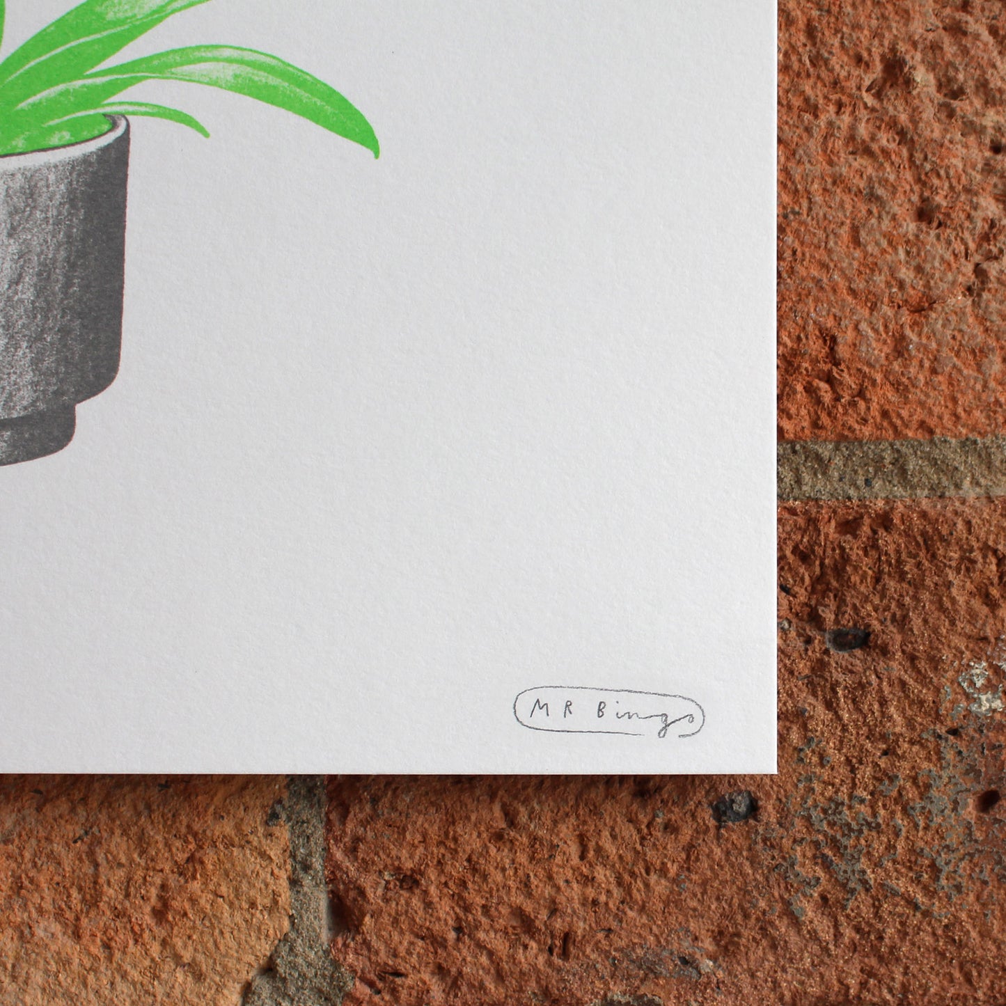 Hand finished Cock Plant